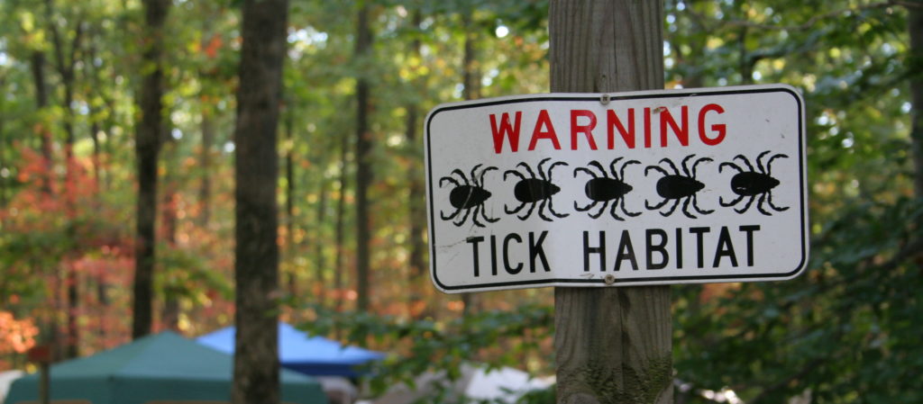 Tick Habitats: Where Are Ticks Commonly Found?